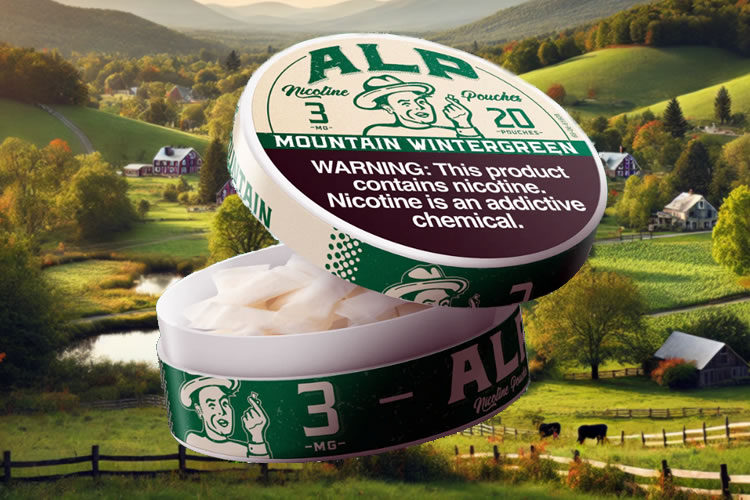 Vermont's Sin Taxes: A Barrier to Tobacco Cessation?
