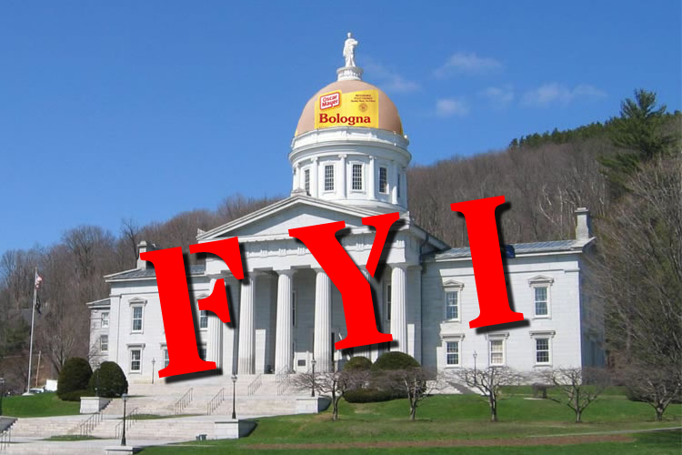 FYI: Vermont Bill S52 (2024) – Healthcare for Foreign Nationals