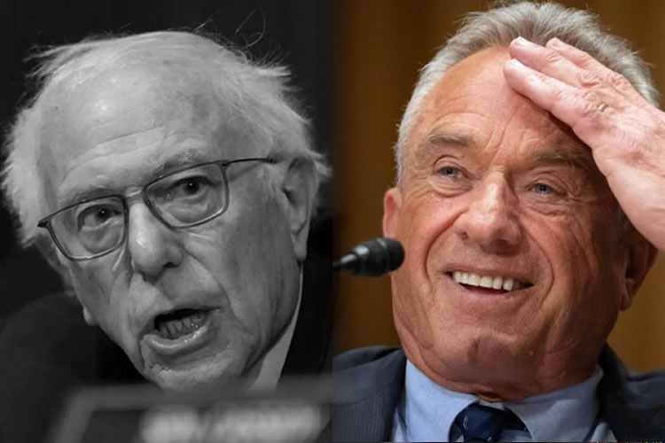 RFK Jr. and Another Missed Opportunity for Honest Debate